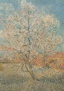 Vincent Van Gogh Peach Tree in Blossom (nn040 oil painting reproduction